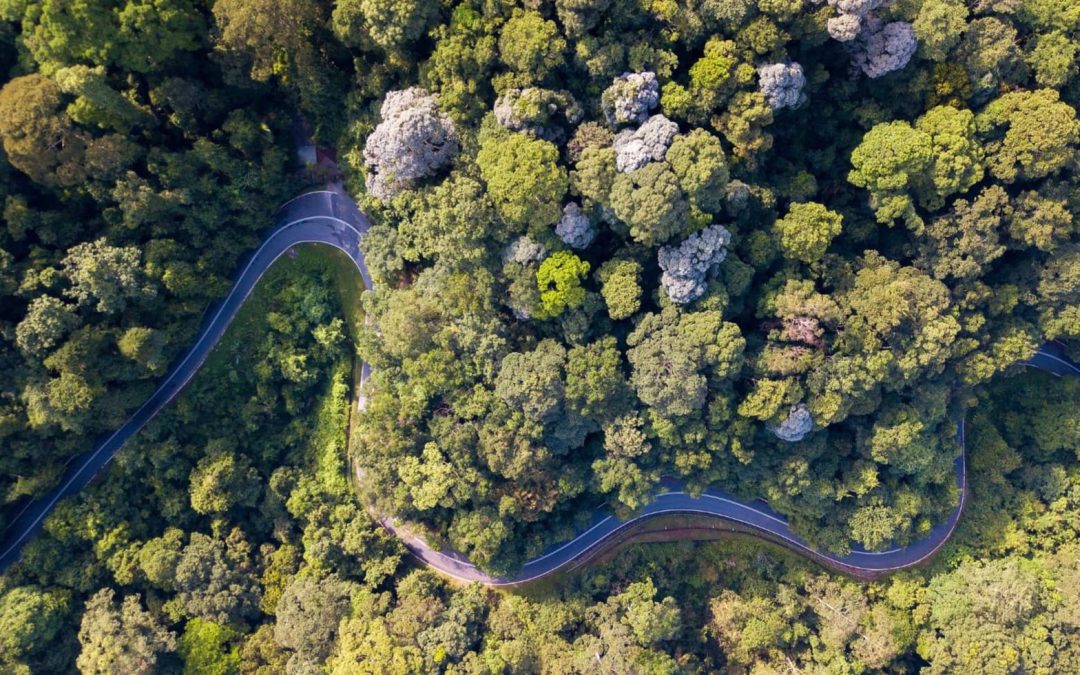 L’enquêteur privé face aux défis de la justice environnementale : une expertise d’avenir