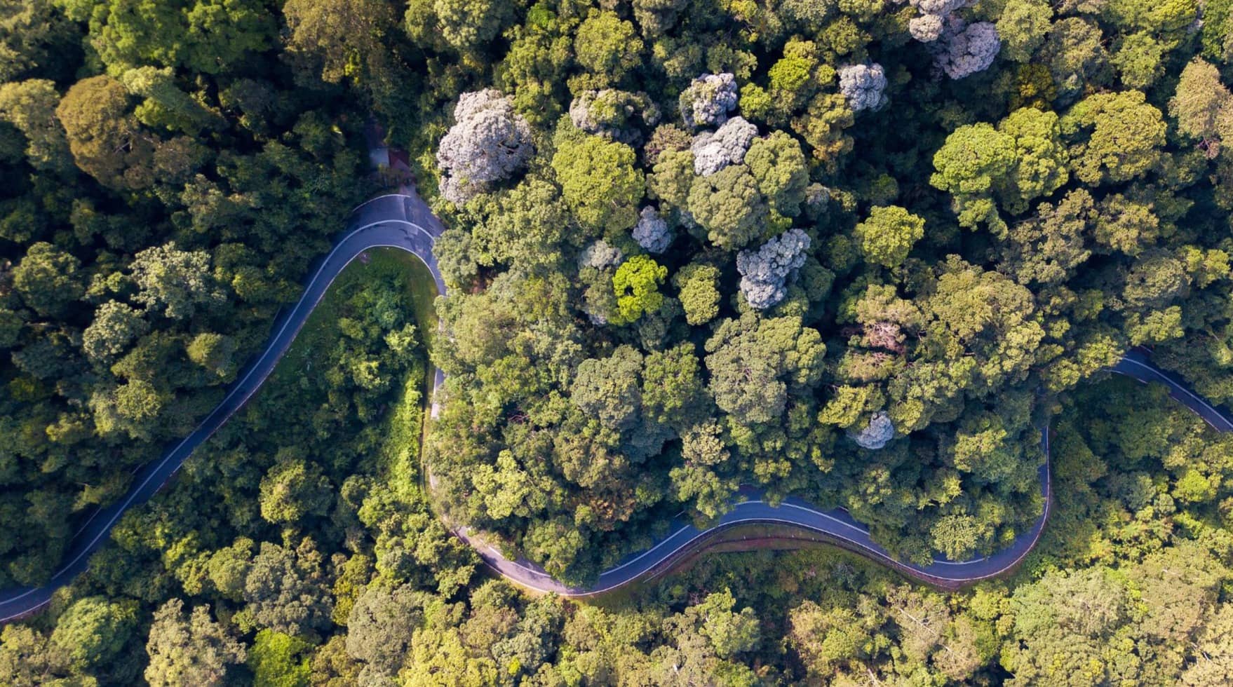 L’enquêteur privé face aux défis de la justice
environnementale : une expertise d’avenir